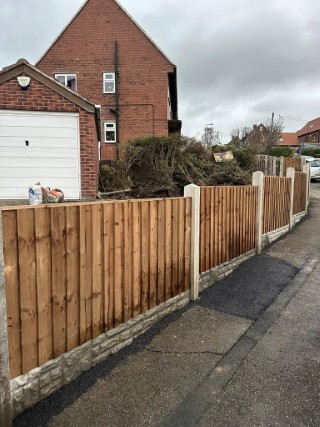 garden landscaping